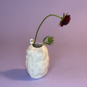 Fuglevase