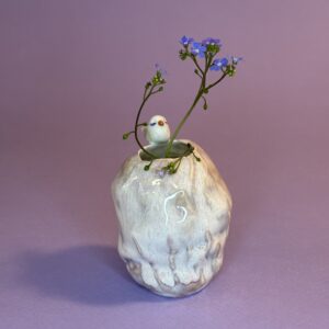 Fuglevase
