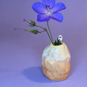 Fuglevase