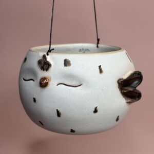 Hænge fuglepotte