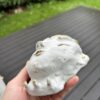 Pynteknage - Thumbnail Image 3