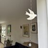 Fugl lysfanger - Thumbnail Image 7