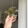 Fugl lysfanger - Thumbnail Image 6